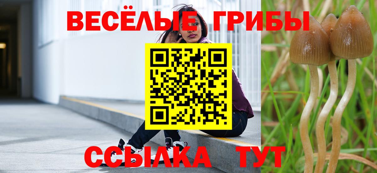 Галлюциногенные грибы мицелий Камышлов