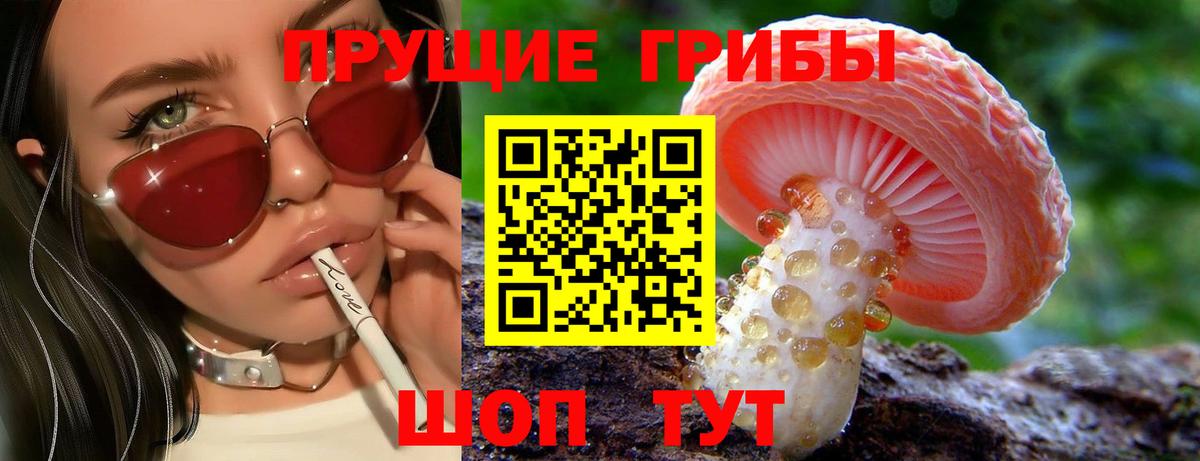 Галлюциногенные грибы Cubensis  Вход с VPN  Галлюциногенные грибы Psilocybine cubensis  Камышлов 
